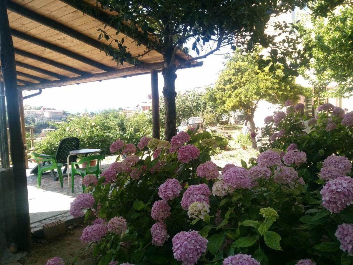 Aritzo Appartamento Romantico 外观 照片